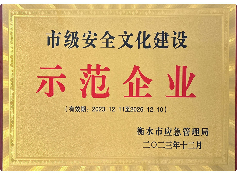 市级安全文化建设示范企业